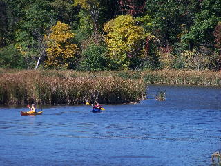 Kayaks on Salt Creek