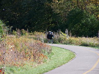 Tandem bent on the Busse Woods trail