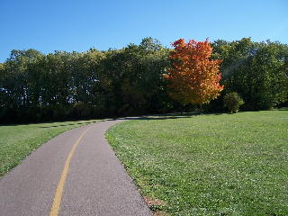 Fall colors on he Busse Woods trail