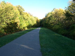 Just past the bridge on the Busse Woods trail