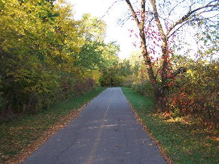 the Busse Woods bike path parallel to Arlington Hts Road.