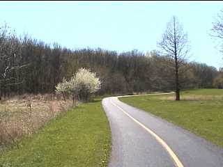 DG Bike trail in the spring