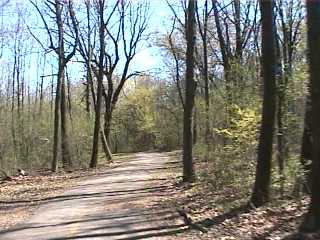 Wooded entrance to Deer Grove East