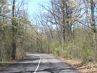 The FP road just before the bike path on the right