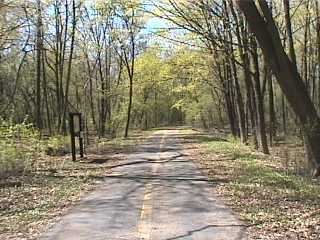 Wooded part of Deer Grove bike trail