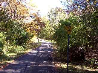 Entrance to yellow trail from black trail