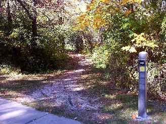 Deer Grove Yellow Trail