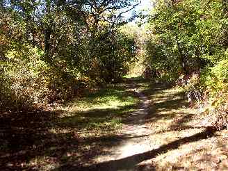 Deer Grove unpaved trails