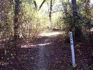 Purple Trail marker in Deer Grove
