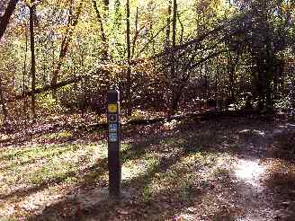 Yellow and Purple Trail Intersection marker