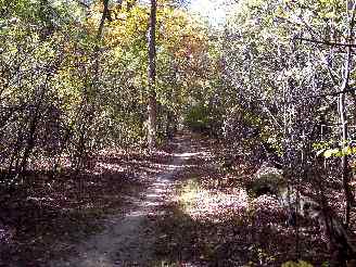 Flat, dirt section of Deer Grove Trail
