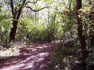 Unpaved trail system in Deer Grove west