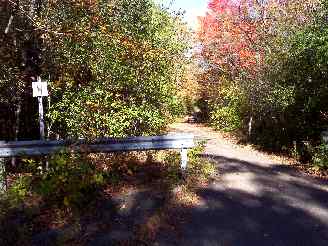 Orange Trail connection to main forest preserve roads
