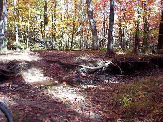 Ravines and dirt trails prior to fenced off restrictions