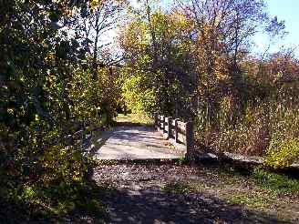 Wooden bridge on Deer Grove trail