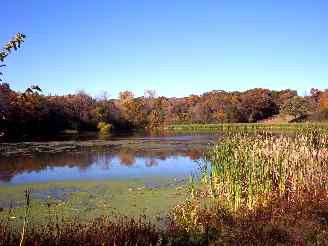 The large lake in Deer Groove Forest Preserve
