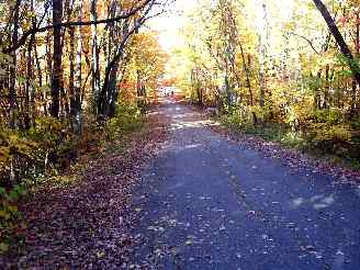 The Orange Trail or abandoned road