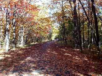 Deer Grove Orange trail