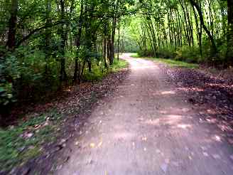 Wooded scenery on DPRT bike trail