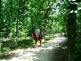 DPR Trail, Horse back rider.