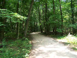 DPR Trail through shady Wright Woods