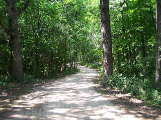 Wooded part of DPR trail near Old School FP