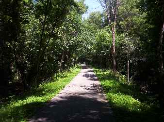 More wooded sections of the bike trail