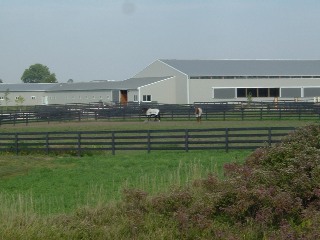 Horse farm