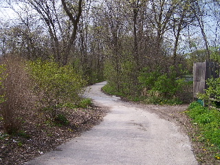 A winding part of the green bay trail