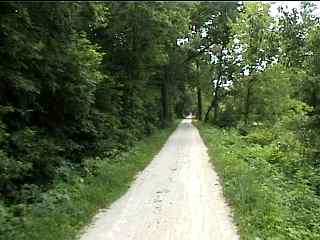 Wooded part of trail