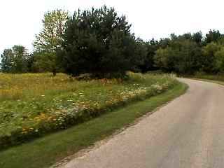 Prairie scenery from the bike trail