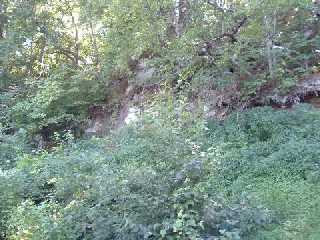 a bluff that overlooks the Red Cedar Trail