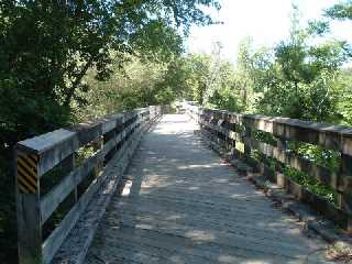 wooden bridge on the Red Cedar trail