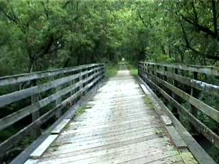 Wooden bridge rails and planks