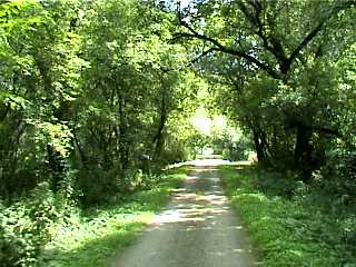 canpoe of trees ES Trail